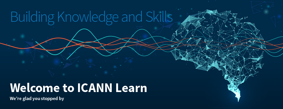 https://learn.icann.org