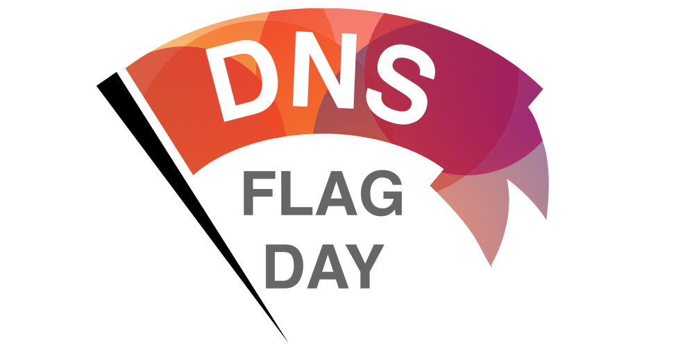 2019. gada 1. februāris: DNS karoga diena